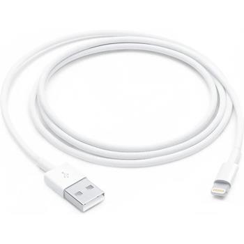 Apple Lightning to USB Cable (1m)