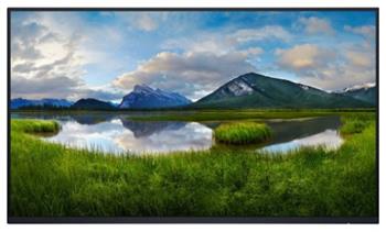 Dell P2425HE 23,8" bez stojanu