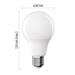 Emos LED žárovka Basic A60 / E27 / 11W (75 W) / 1055 lm / Neutrální bílá