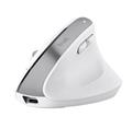 TRUST Bayo+ Ergonomic Wireless BT, vertikální bezdrátová USB myš, bílá